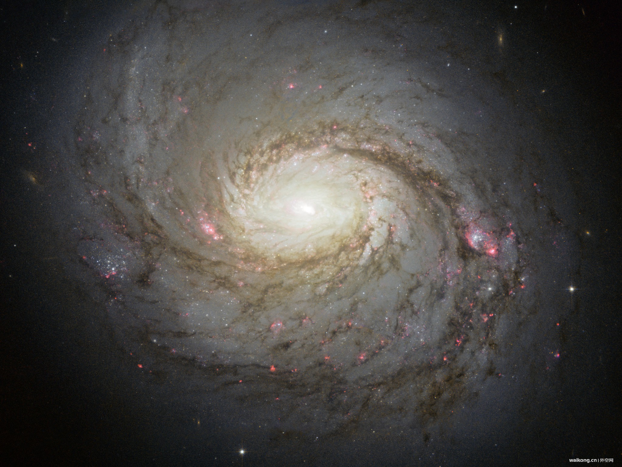 Hubble image of Messier 77.jpg