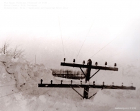 1938年北密歇根州的暴风雪