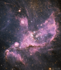 NGC 346:小麦哲伦云中的产星星团