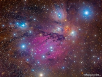 NGC 2170：天使星云的静物画