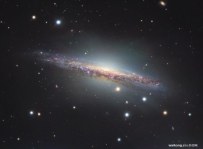 NGC 1055的特写影像