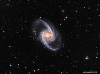 NGC 1365：壮丽的宇宙岛