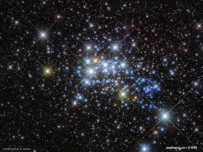 Westerlund 1内的大质量恒星