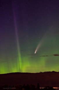 北方的NEOWISE彗星                                 影像来源及版权: Bill Peters
