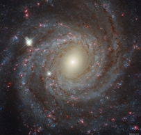 NGC 3344的正面