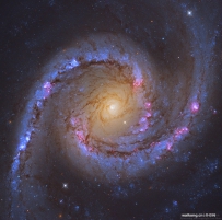 NGC 1566：像西班牙舞者的旋涡星系