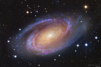 明亮的旋涡星系M81