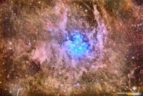 深空影像中的昴宿星团和尘埃