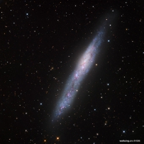 麦哲伦星系NGC 55