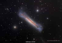NGC 3628：汉堡星系
