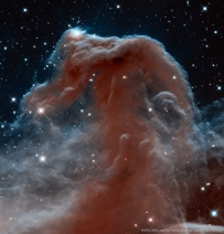 红外波段下的马头星云（哈勃望远镜拍摄）