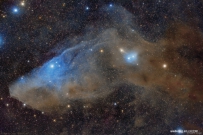IC 4592：蓝色的马头状反射星云