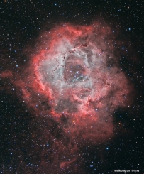 一朵宇宙玫瑰：麒麟座内的玫瑰星云
