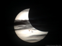 2023年10月08日： 飞机、云、月亮，景点，太阳