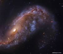飞鱼座内的星系NGC 2442