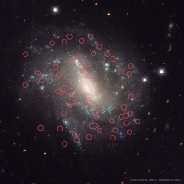 旋涡星系UGC9391内的超新星和造父变星
