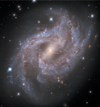 NGC 2525中的超新星