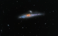 NGC 4631：鲸鱼星系